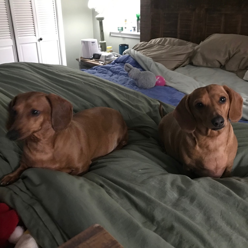 Meet your Posher, Posh